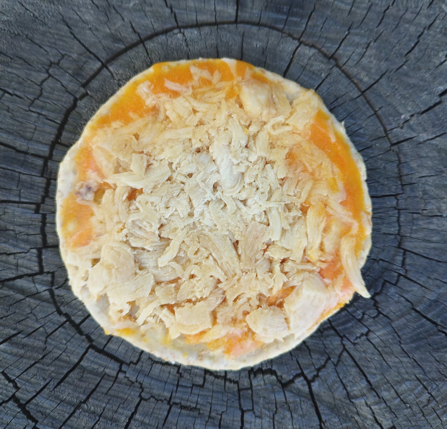 Pizzas congeladas para perros