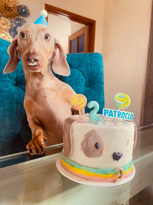Torta perrito