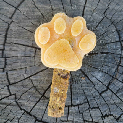 Paletas para perros de caldo de hueso