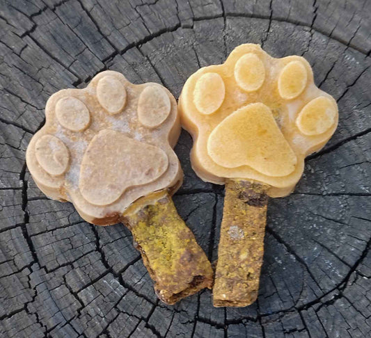 Paletas para perros de caldo de hueso