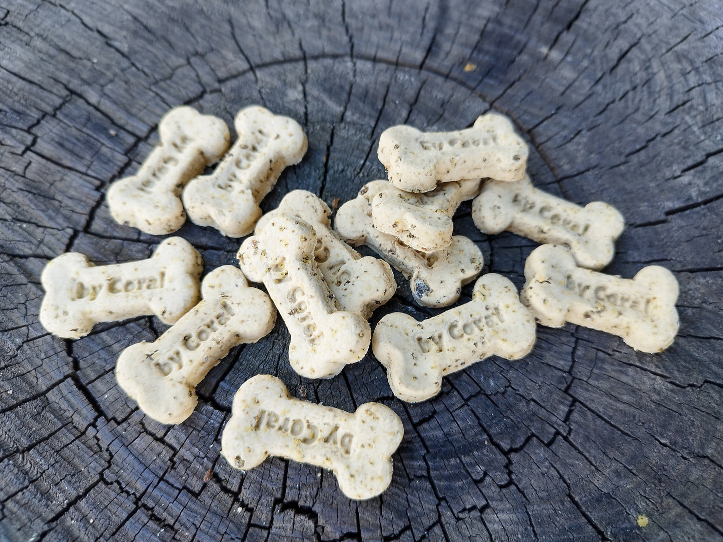 Galletas para perros by Coral
