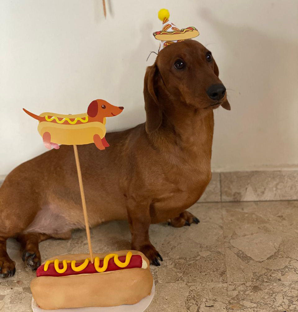 Torta de perro caliente